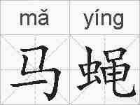 马蝇的拼音