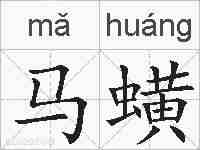马蟥的拼音