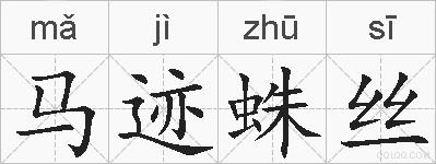 马迹蛛丝的拼音