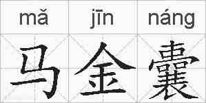 马金囊的拼音
