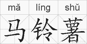 马铃薯的拼音