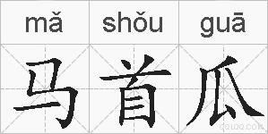 马首瓜的拼音