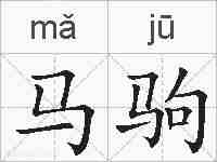 马驹的拼音