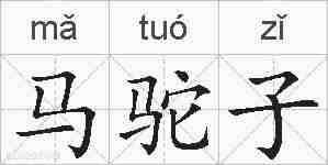 马驼子的拼音