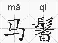 马鬐的拼音