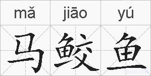 马鲛鱼的拼音