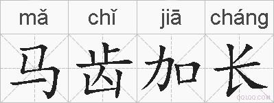 马齿加长的拼音