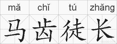 马齿徒长的拼音