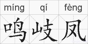 鸣岐凤的拼音
