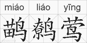 鹋鹩莺的拼音