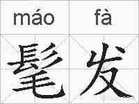 髦发的拼音