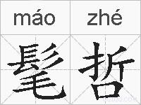 髦哲的拼音