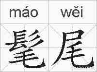 髦尾的拼音