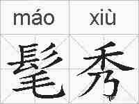 髦秀的拼音