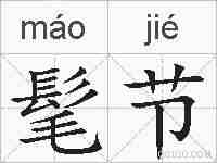 髦节的拼音