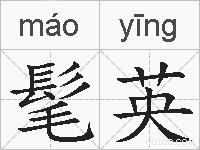 髦英的拼音
