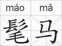 髦马的拼音