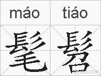 髦髫的拼音