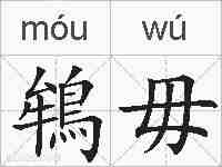 鴾毋的拼音