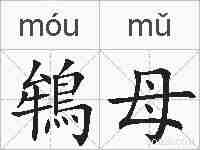 鴾母的拼音