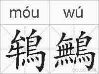 鴾鷡的拼音