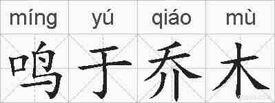 鸣于乔木的拼音