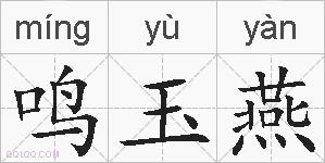 鸣玉燕的拼音