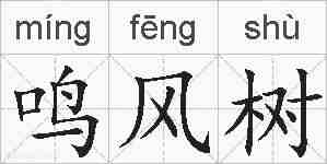 鸣风树的拼音