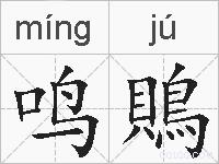 鸣鵙的拼音