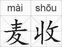 麦收的拼音