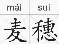麦穗的拼音