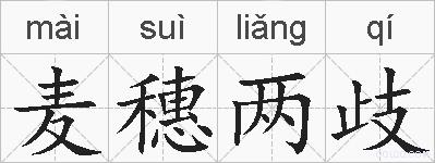 麦穗两歧的拼音