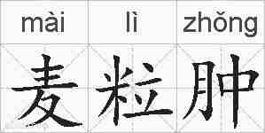 麦粒肿的拼音