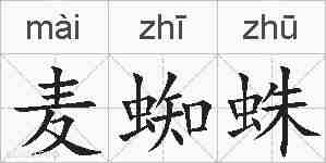 麦蜘蛛的拼音