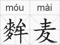 麰麦的拼音