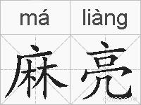 麻亮的拼音