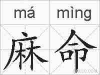 麻命的拼音