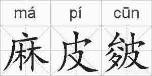 麻皮皴的拼音
