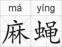 麻蝇的拼音