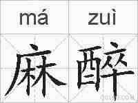 麻醉的拼音