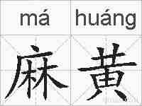 麻黄的拼音
