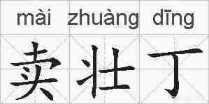 卖壮丁的拼音