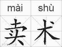 卖术的拼音