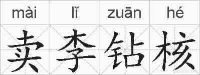卖李钻核的拼音