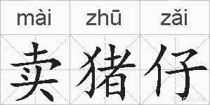 卖猪仔的拼音