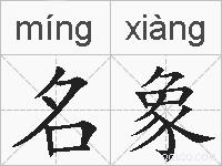 名象的拼音