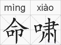 命啸的拼音