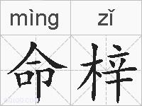 命梓的拼音