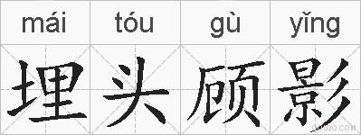 埋头顾影的拼音