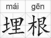 埋根的拼音